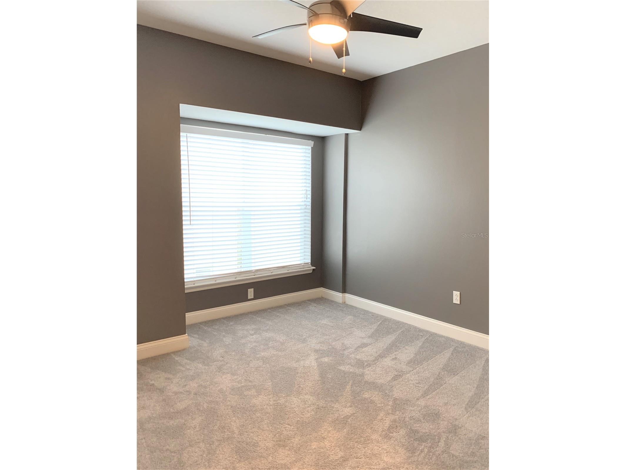 4511 Legacy Park Drive Tampa FL 33611 TB8424253 image21