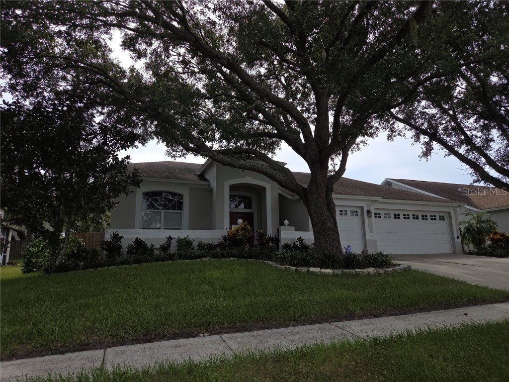 4511 Oak River Circle Valrico FL 33596 TB8422974 image1