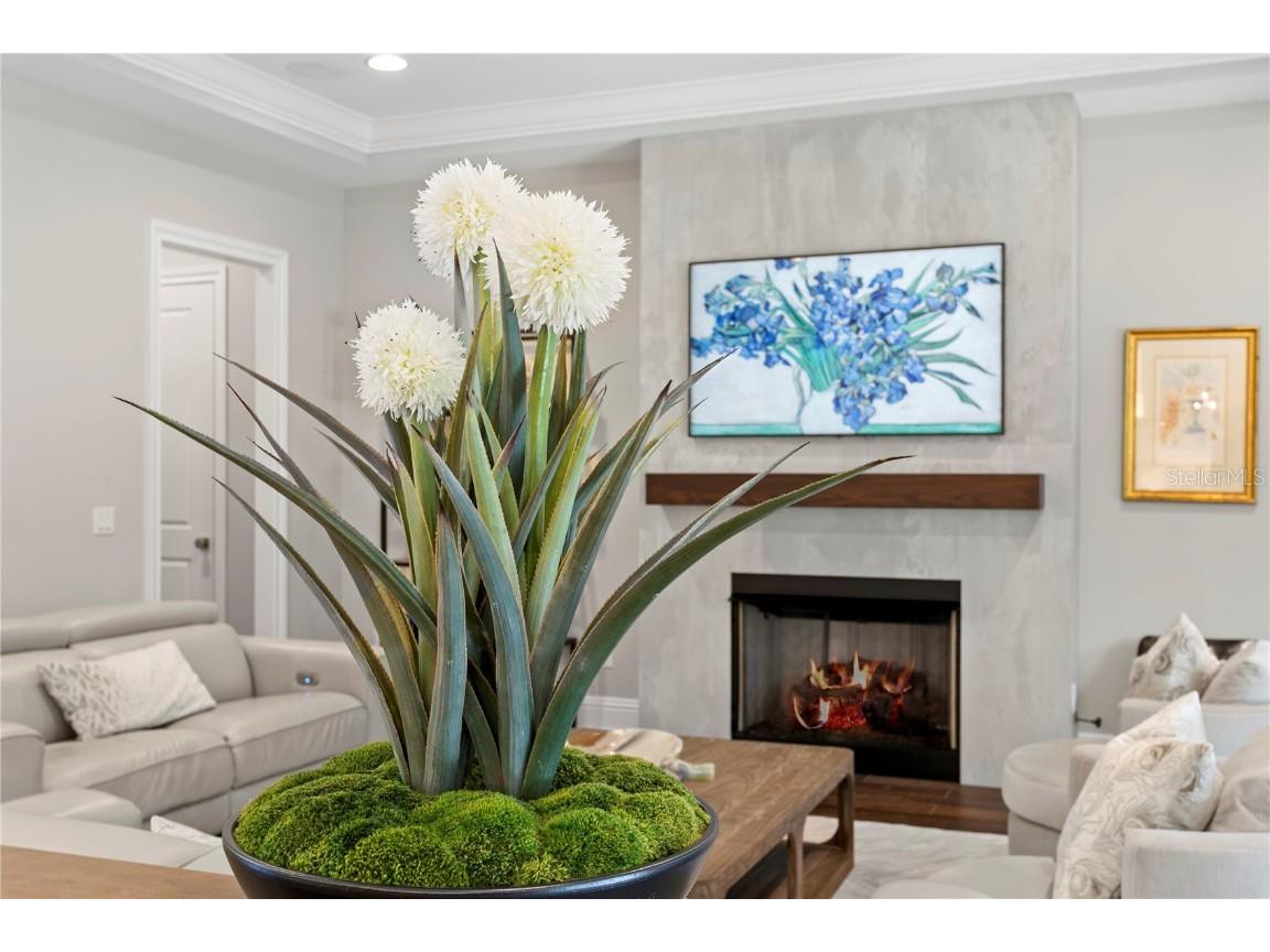 4511 W Swann Avenue Tampa FL 33609 TB8441798 image23