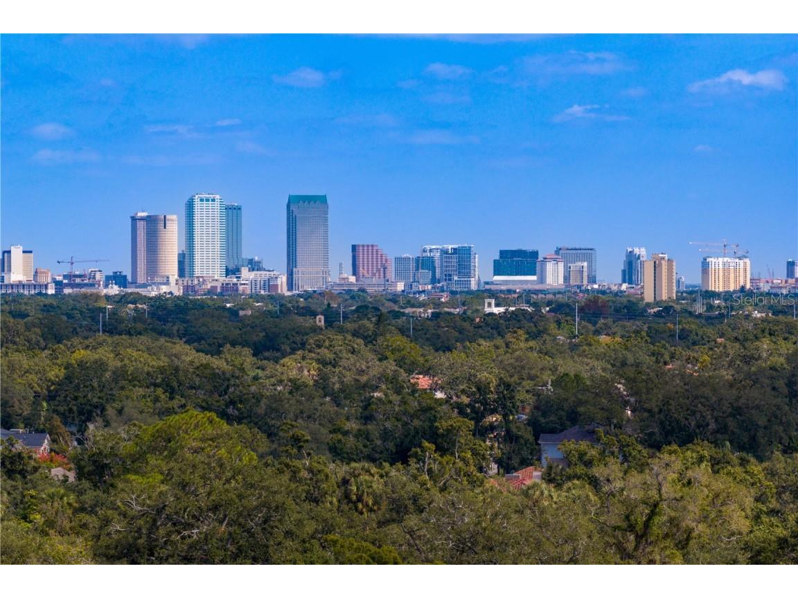 4511 W Swann Avenue Tampa FL 33609 TB8441798 image66