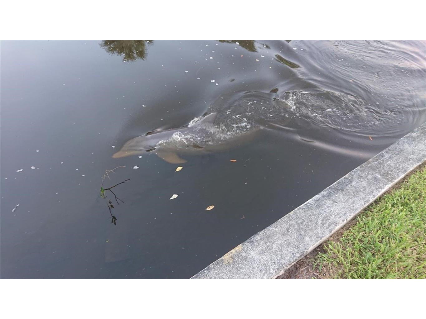 4512 26th Avenue S Tampa FL 33619 A4670655 image3