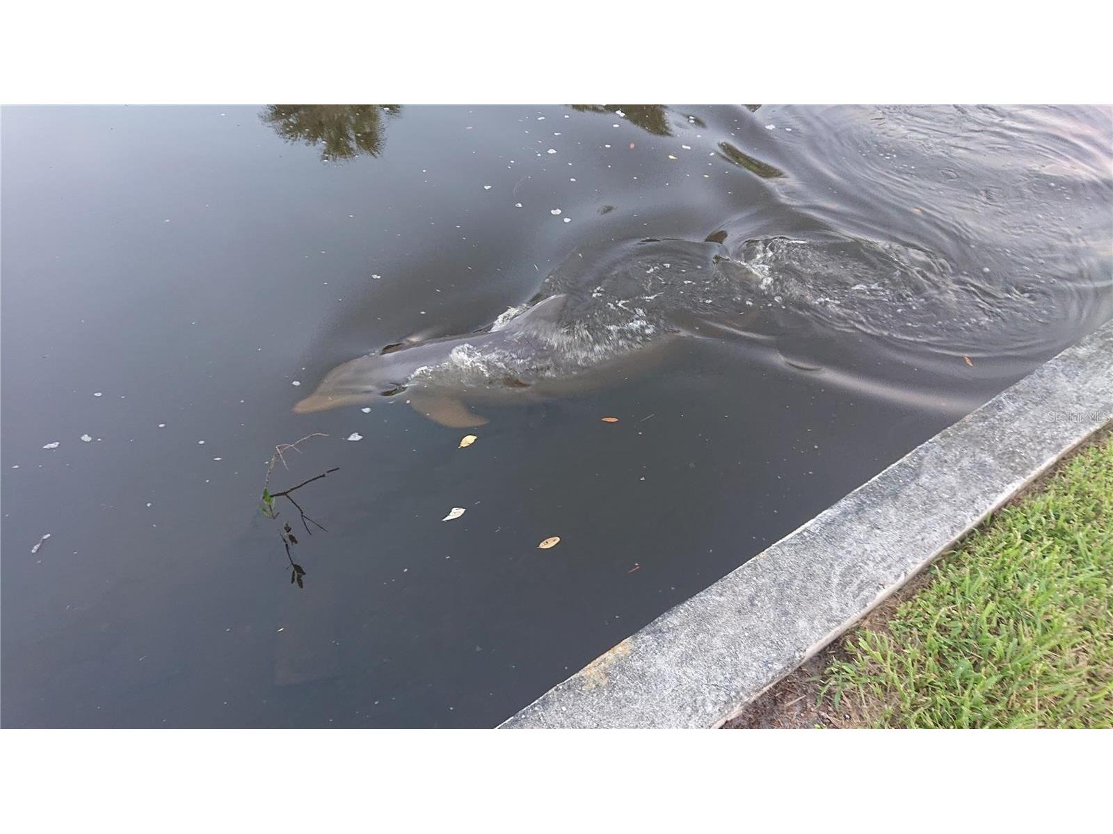 4512 26th Avenue S Tampa FL 33619 A4695330 image23