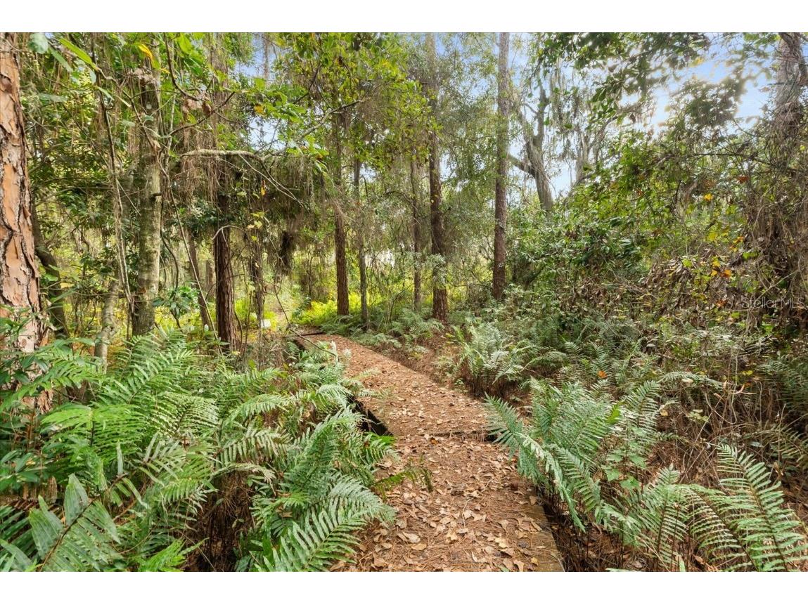 4512 Bridgewater Drive Orlando FL 32817 - LAKE PEARL O6365659 image40