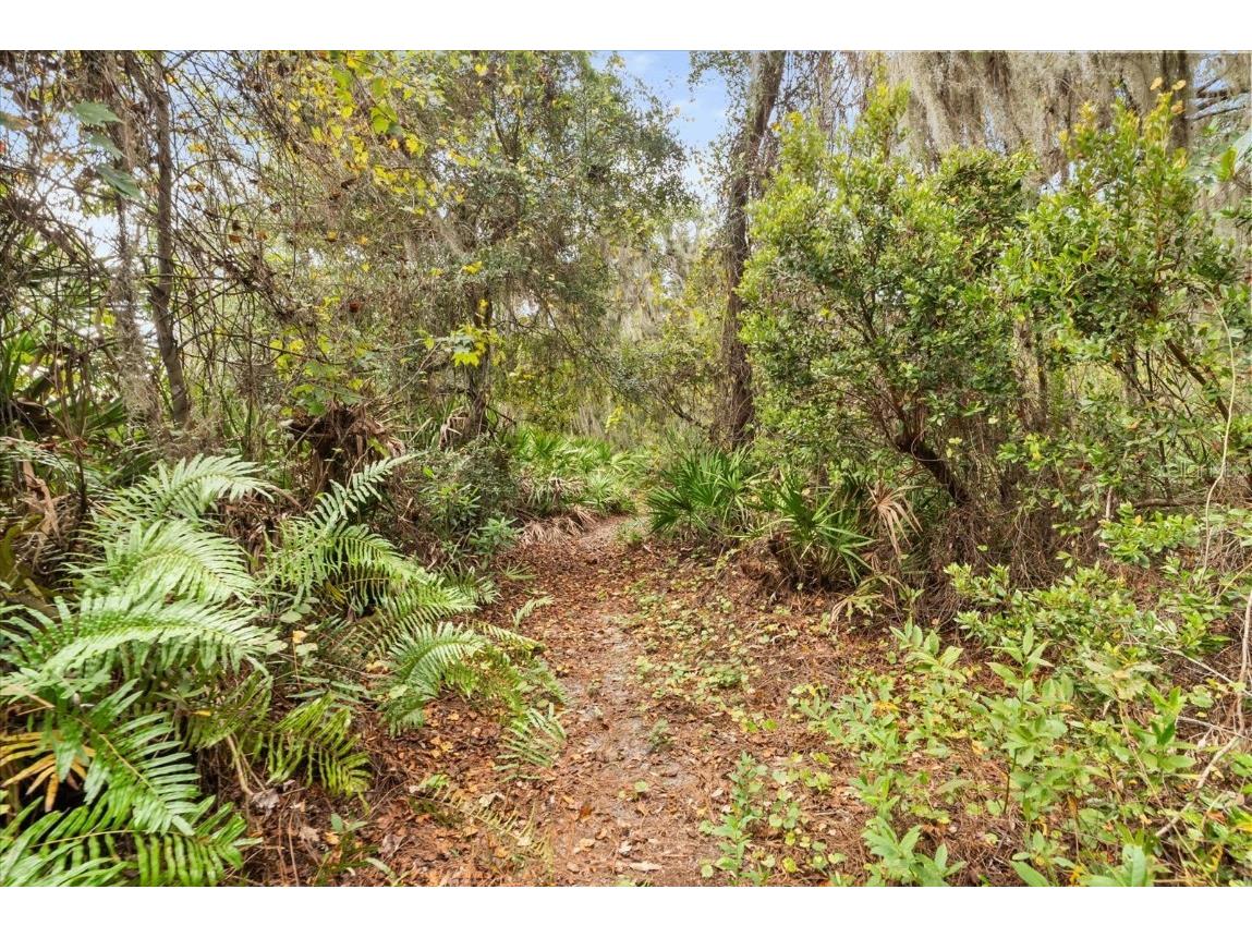 4512 Bridgewater Drive Orlando FL 32817 - LAKE PEARL O6365659 image41