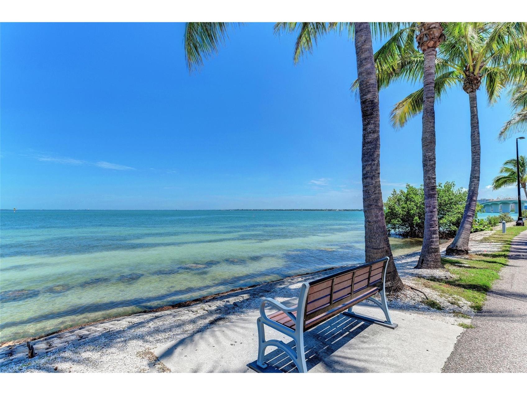 4512 Citation Lane #D Sarasota FL 34233 A4695963 image37