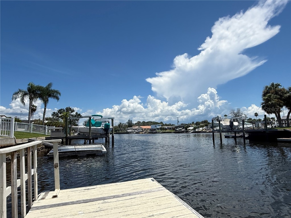 4512 Floramar Terrace New Port Richey FL 34652 TB8419028 image5