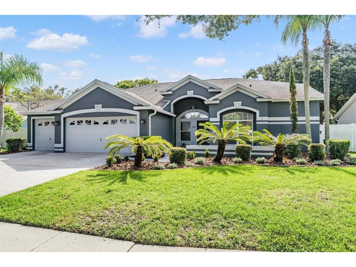 4512 Gentrice Drive Valrico FL 33596 T3451582 image1