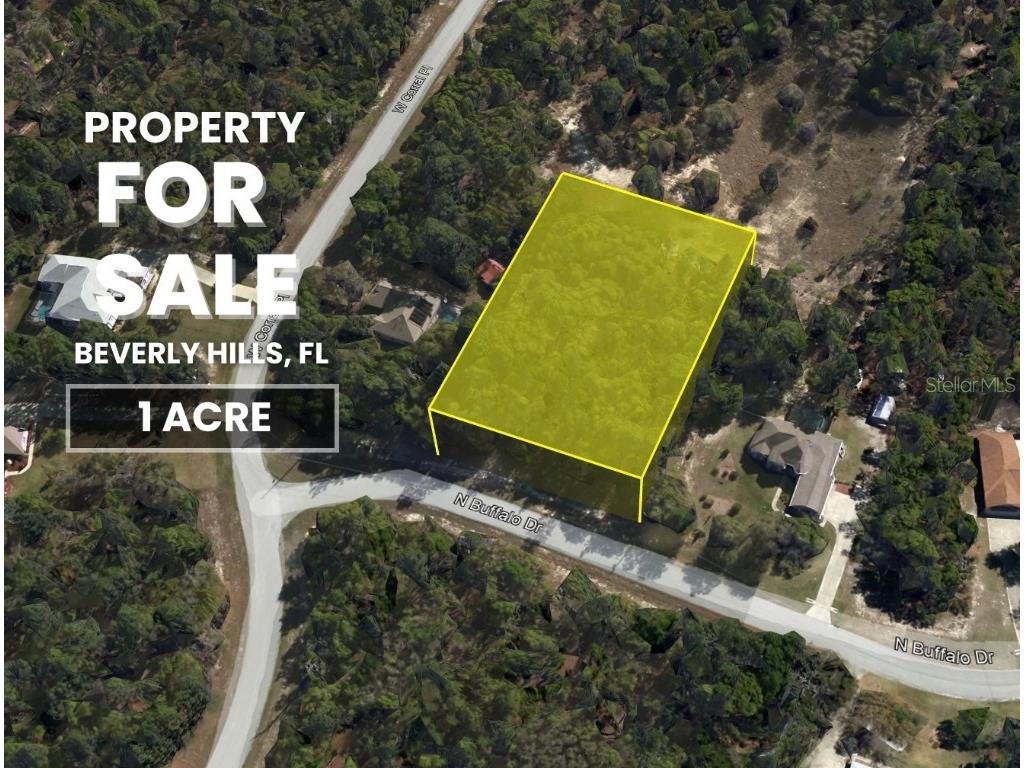 4512 N Buffalo Drive Beverly Hills FL 34465 TB8413661 image1