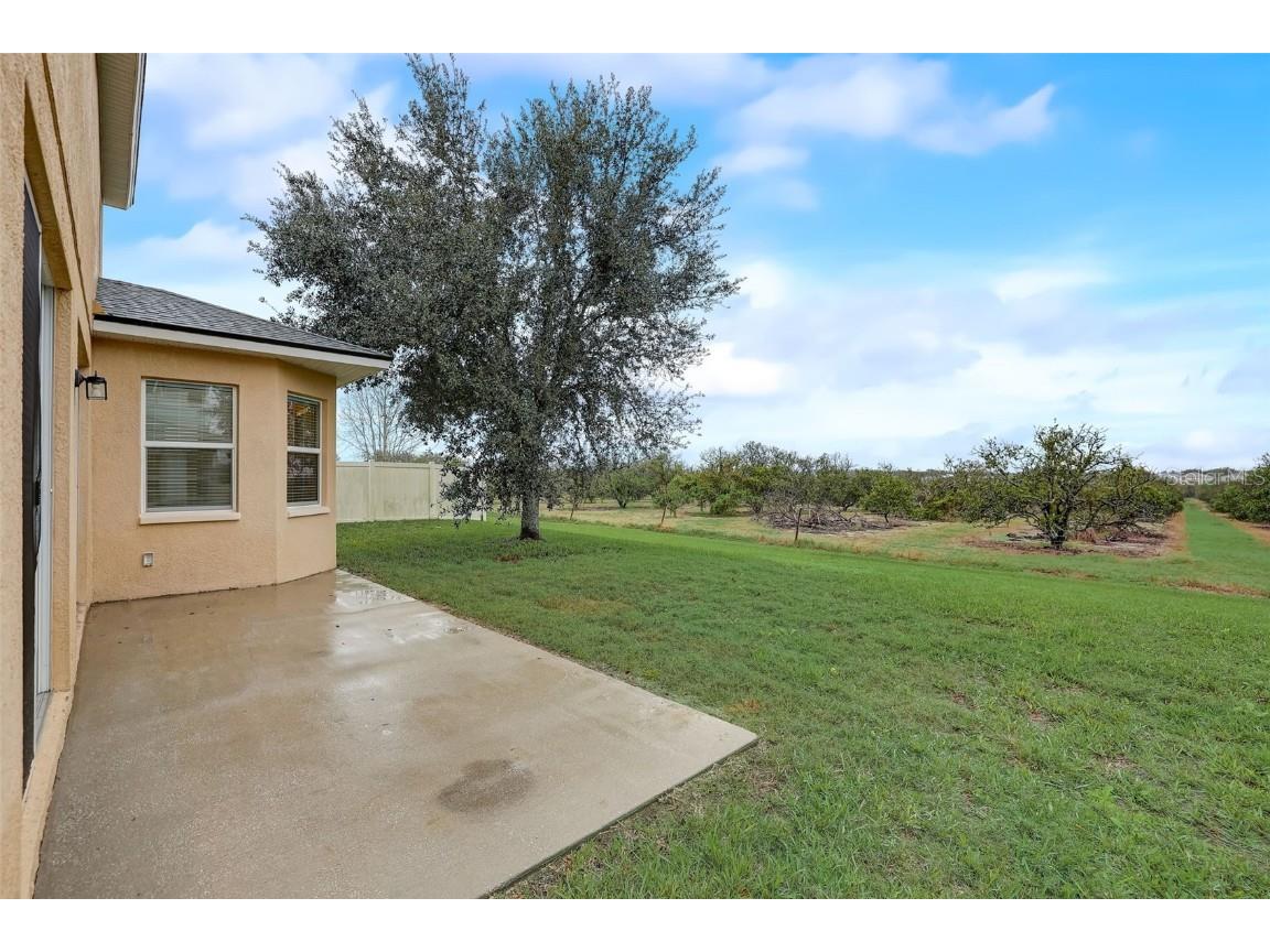 4512 Olympia Court Clermont FL 34714 O6354804 image44