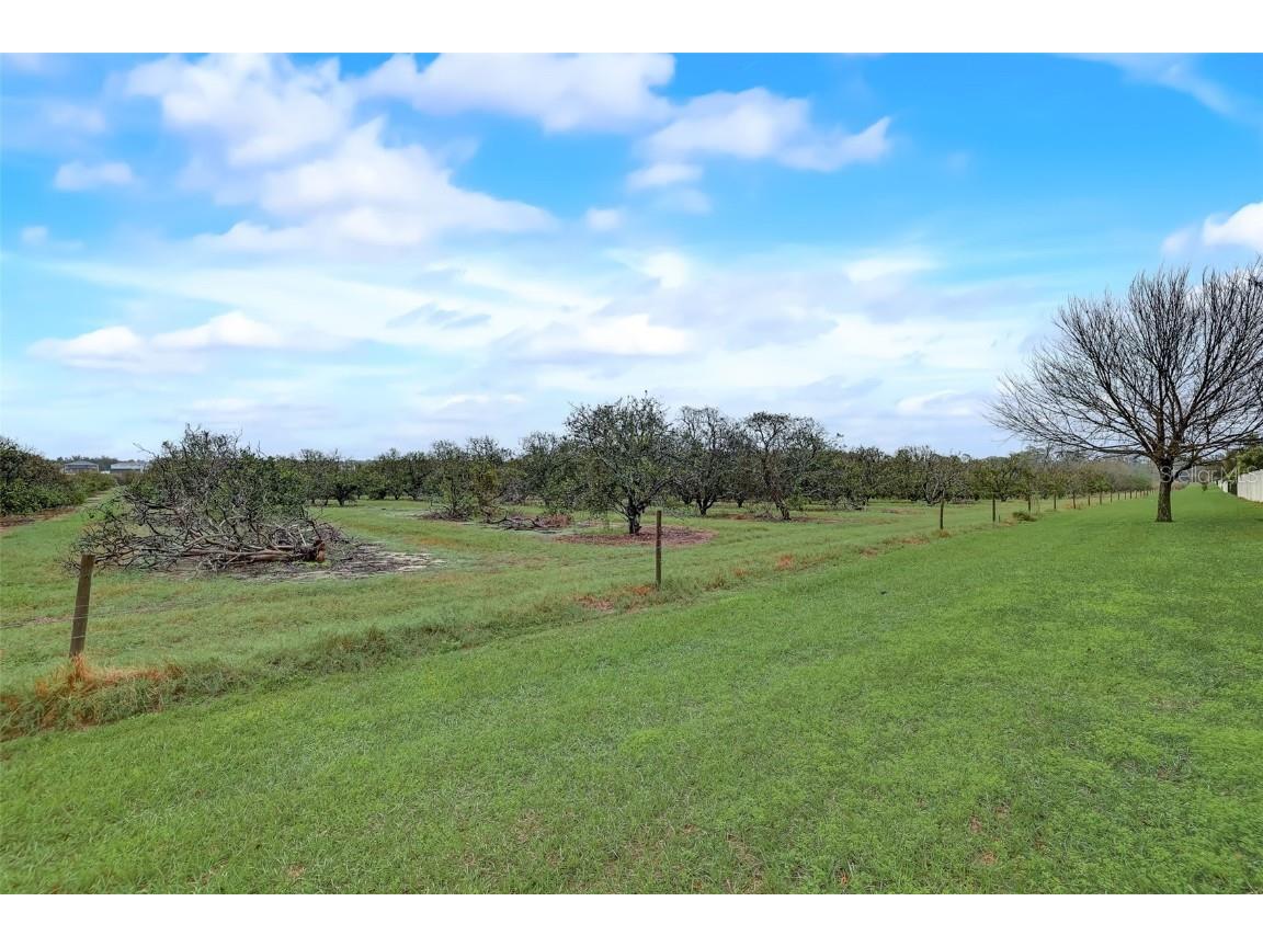 4512 Olympia Court Clermont FL 34714 O6354804 image48