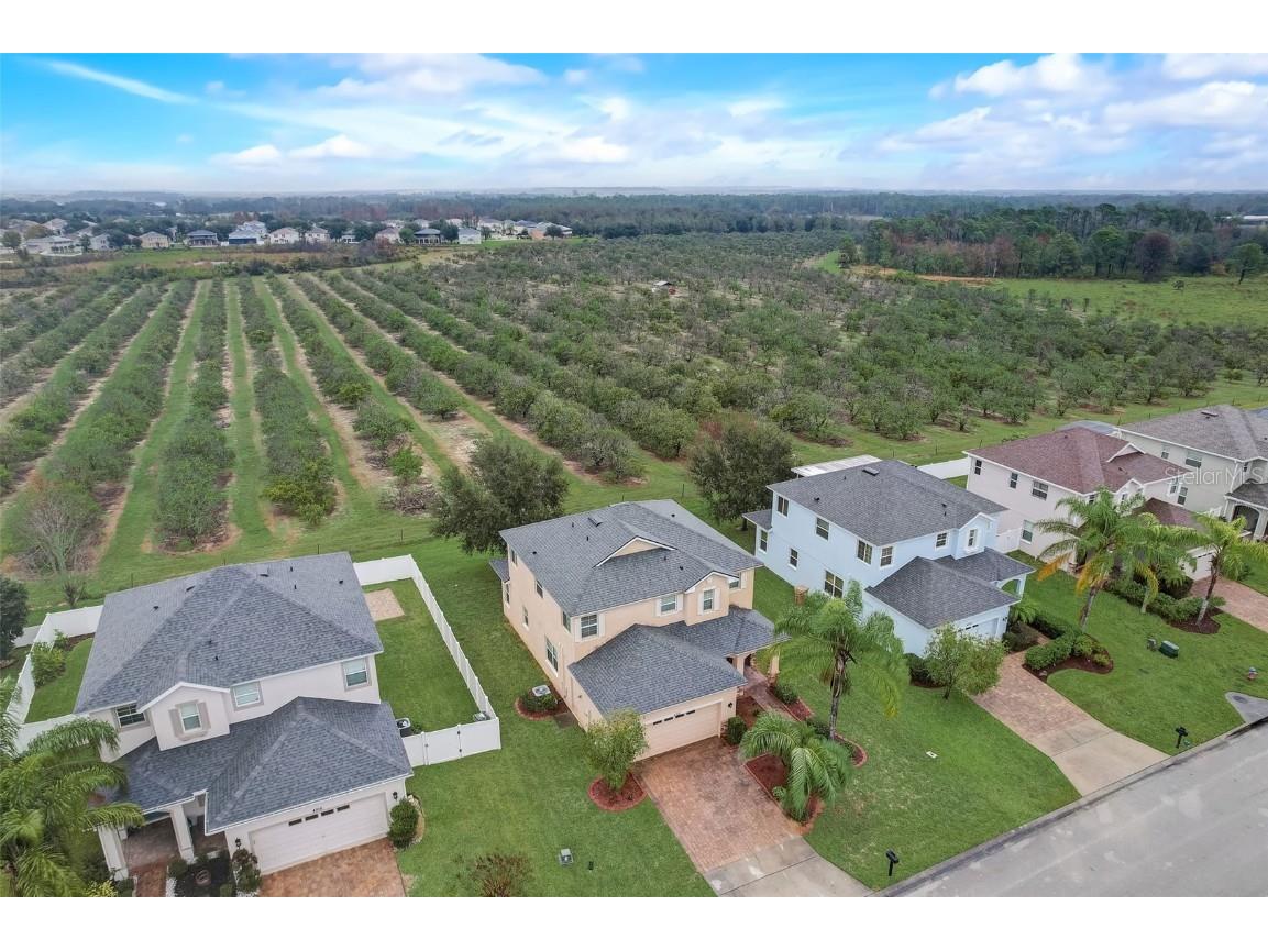 4512 Olympia Court Clermont FL 34714 O6354804 image53