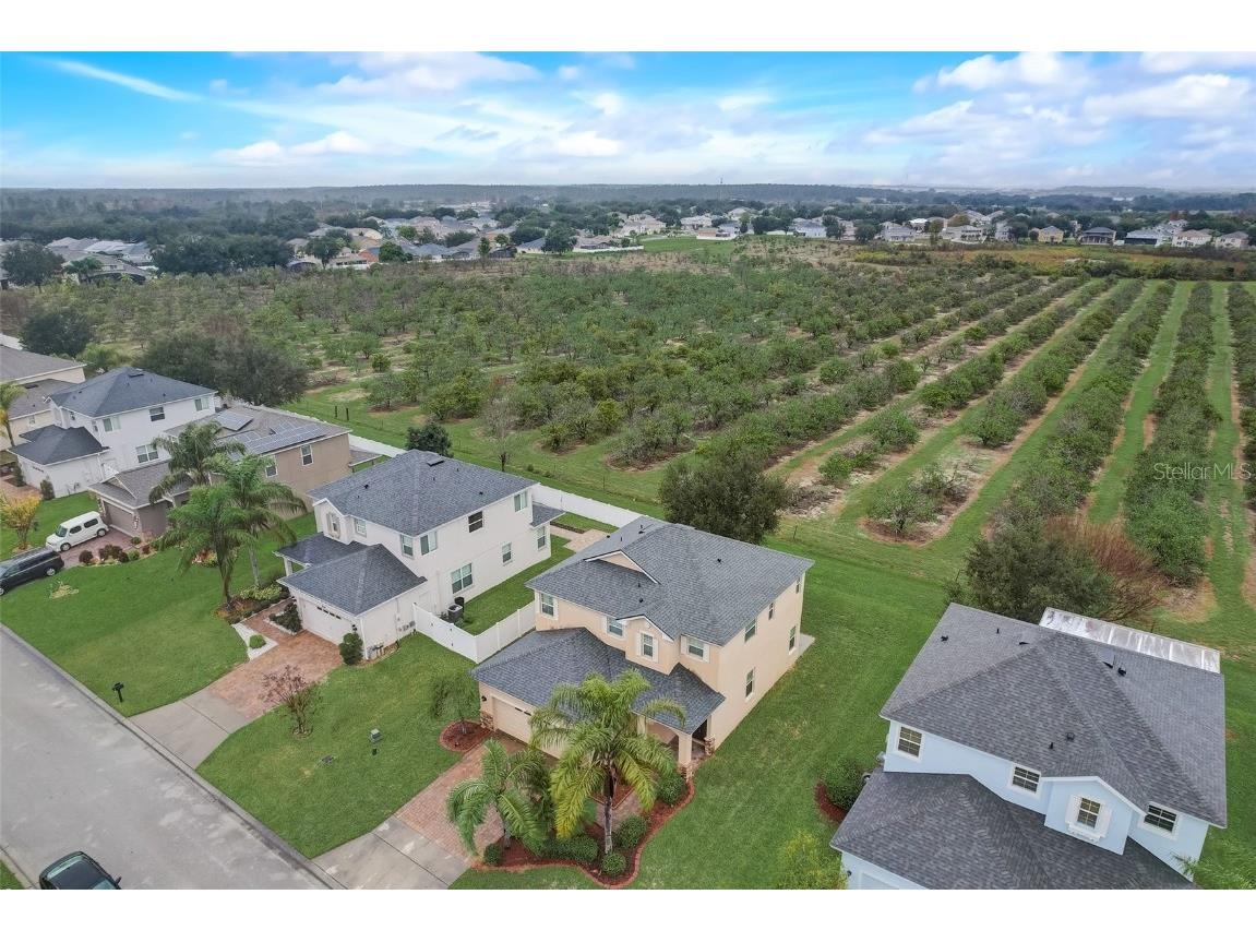 4512 Olympia Court Clermont FL 34714 O6354804 image54