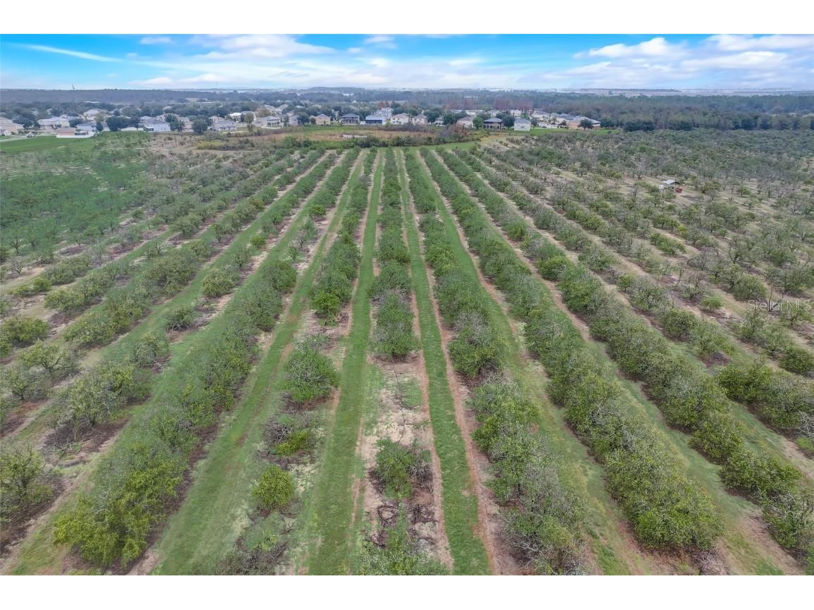 4512 Olympia Court Clermont FL 34714 O6354804 image61