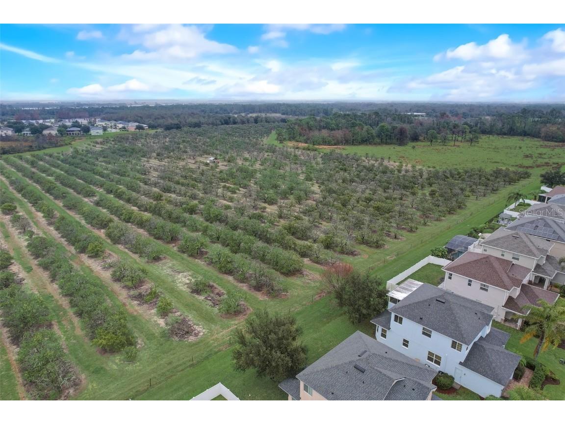 4512 Olympia Court Clermont FL 34714 O6354804 image62