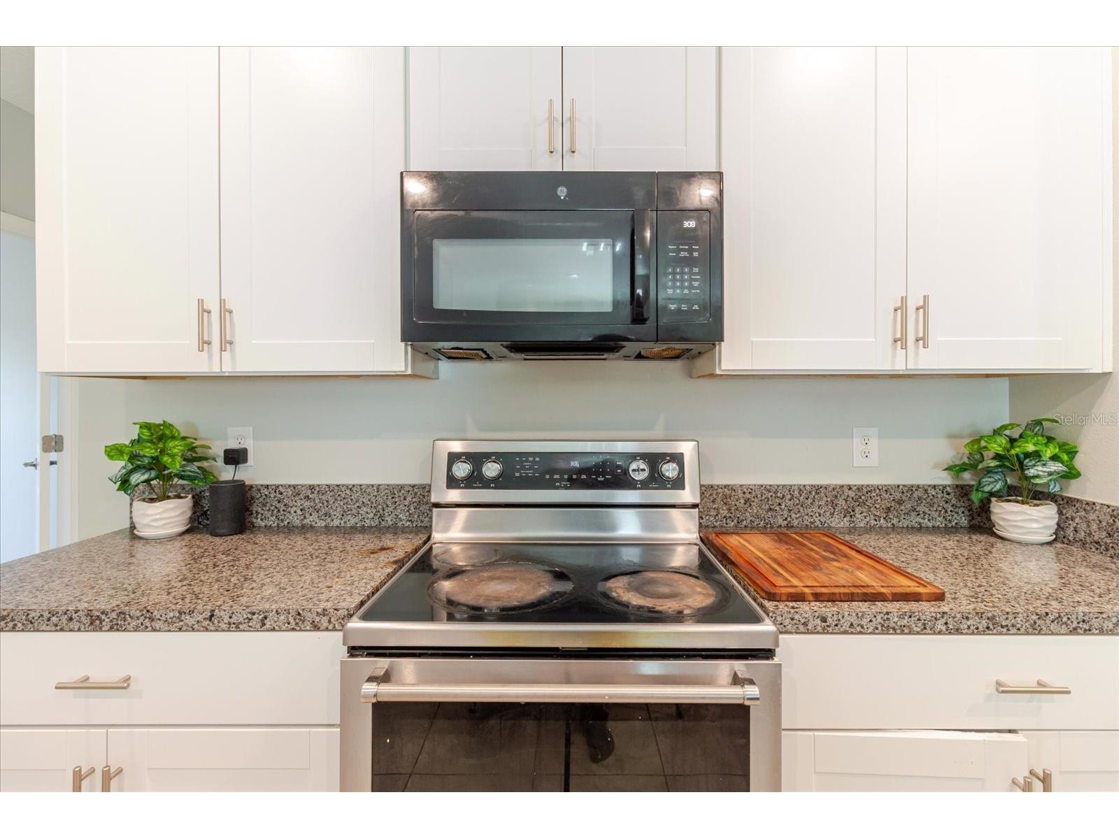 4513 Eternal Prince Drive Sun City Center FL 33573 A4682702 image25