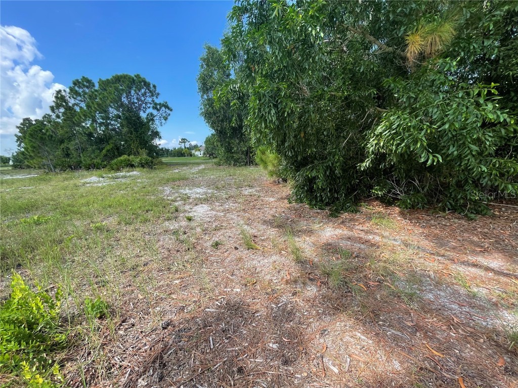 4513 NW 34th Place Cape Coral FL 33993 TB8384196 image10