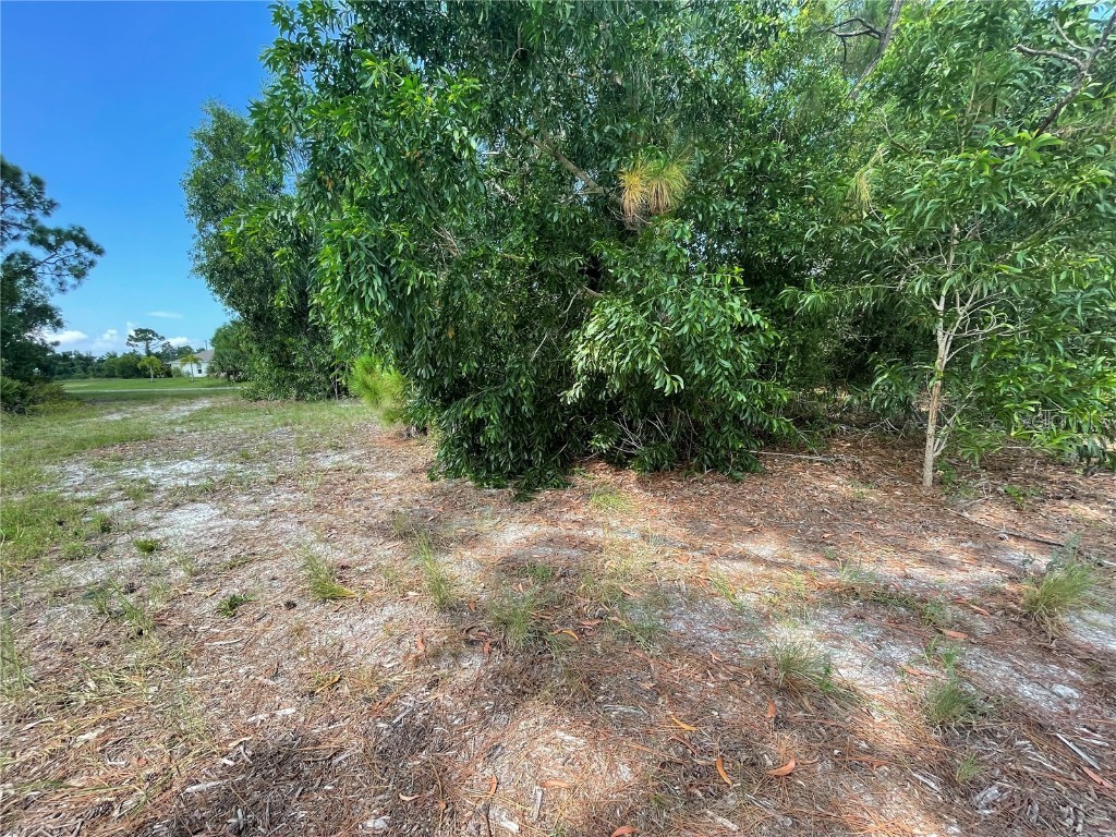 4513 NW 34th Place Cape Coral FL 33993 TB8384196 image11