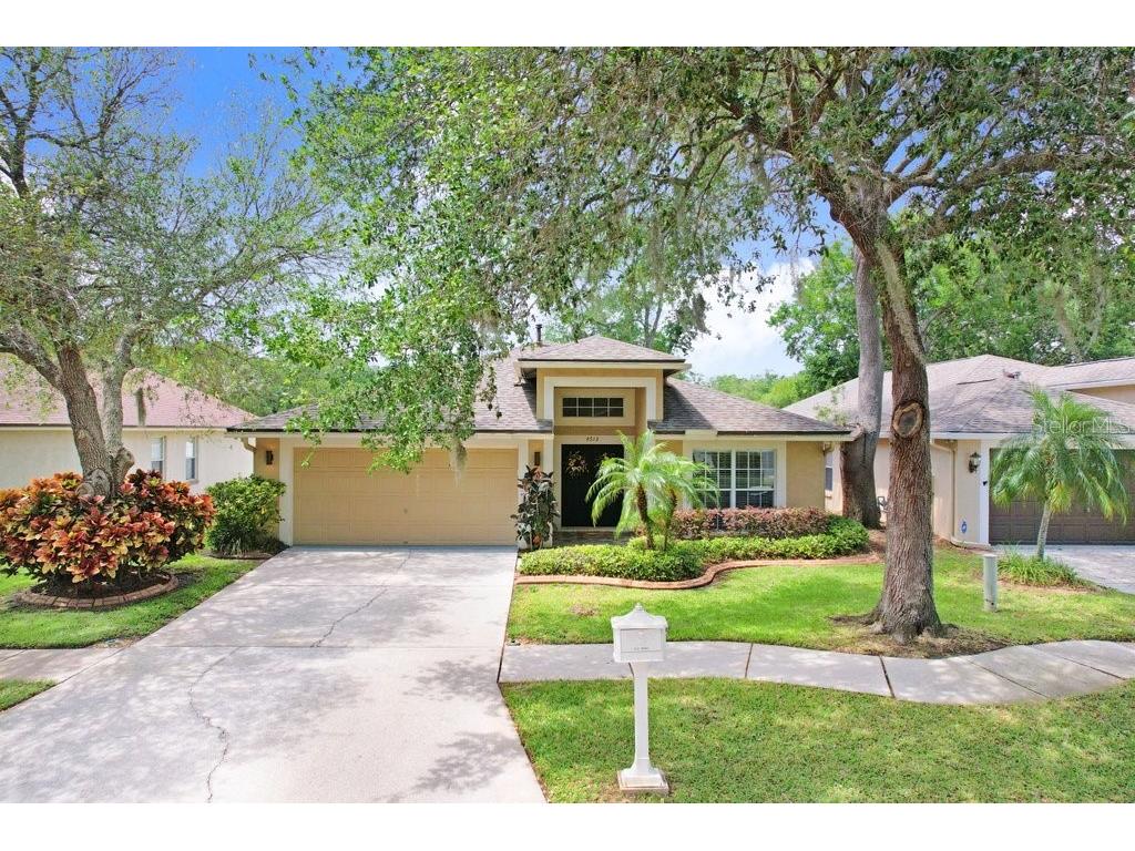 4513 Preston Woods Drive Valrico FL 33596 O6193901 image1