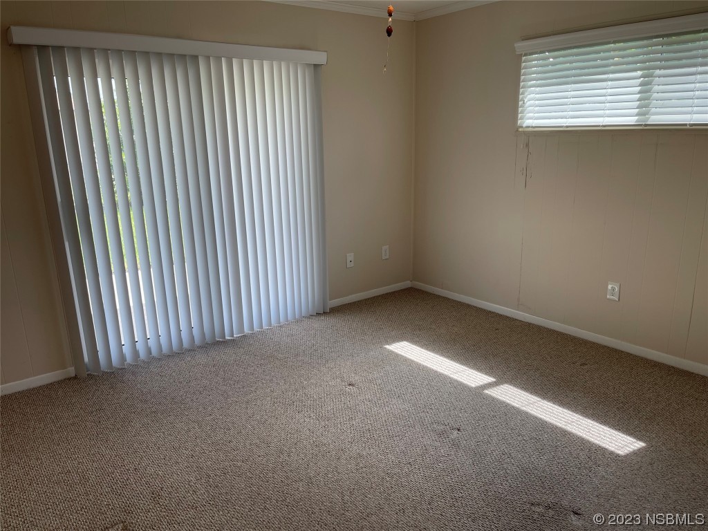 4513 Saxon Drive New Smyrna Beach FL 32169 NS1077387 image11