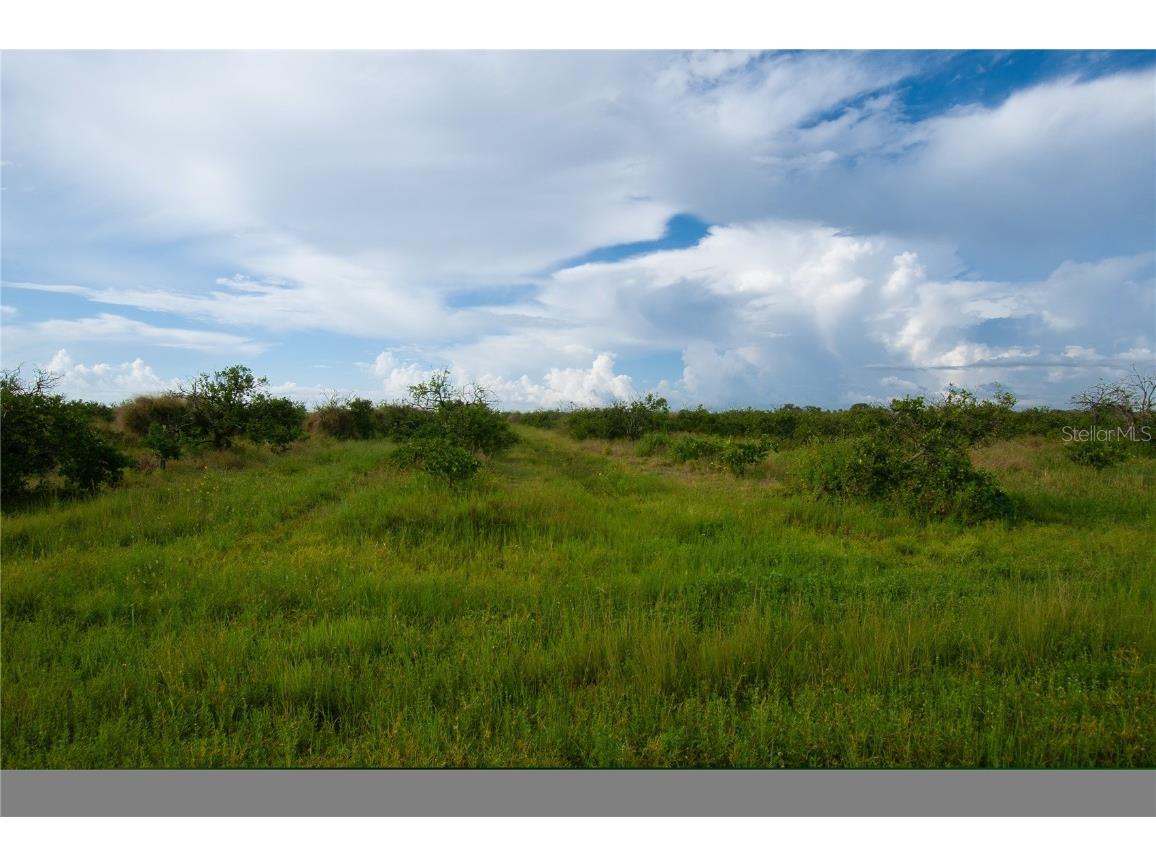 45137 (22-21) Narrow Lane Punta Gorda FL 33982 A4662769 image4