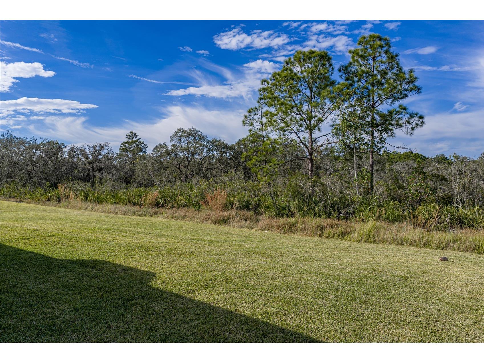 4514 Adrienne Street Sebring FL 33872 L4958408 image51