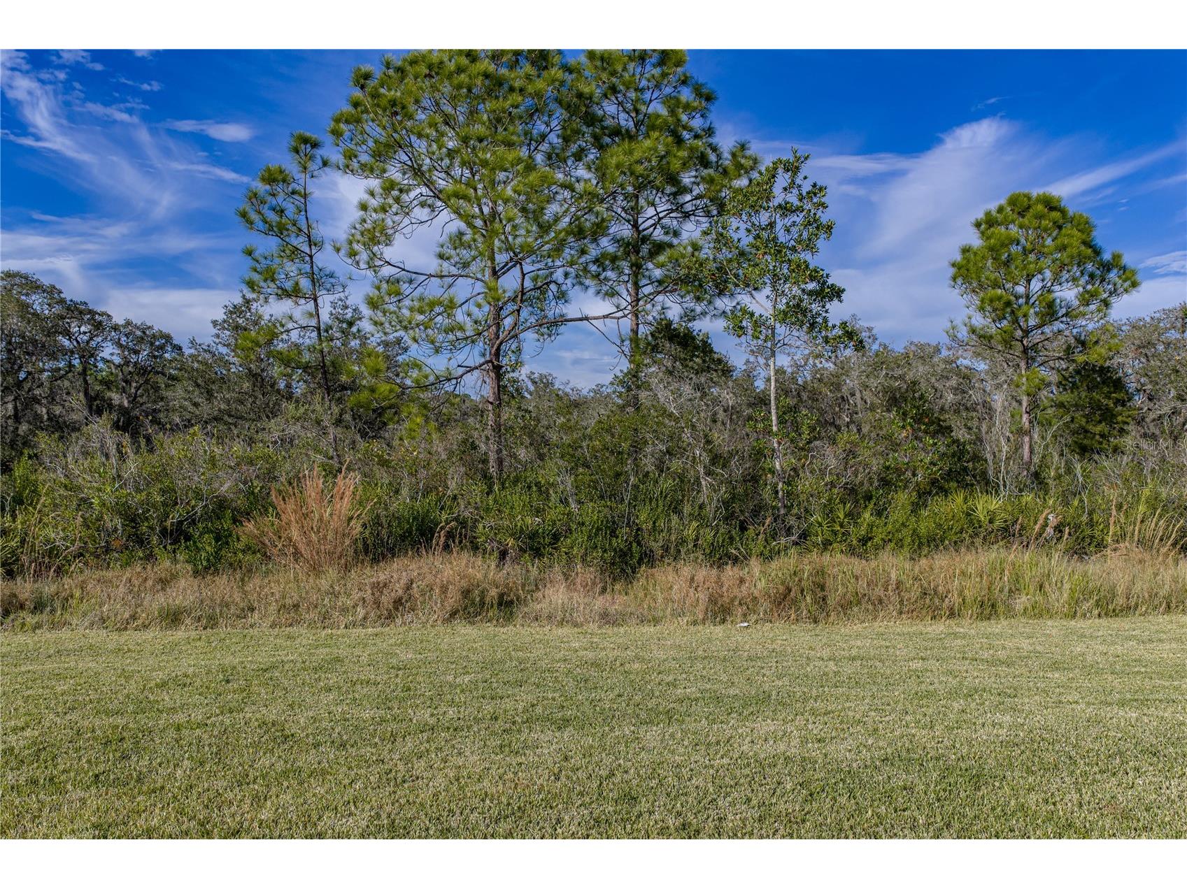 4514 Adrienne Street Sebring FL 33872 L4958408 image53