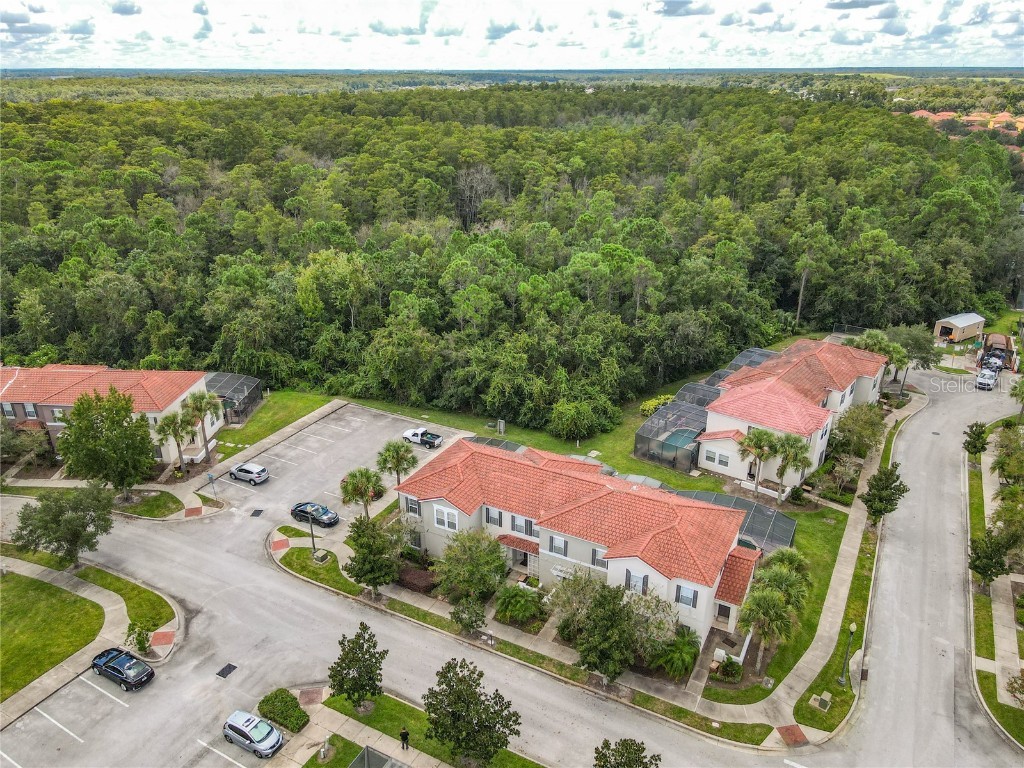 4514 Alberto Circle Kissimmee FL 34746 S5135340 image35