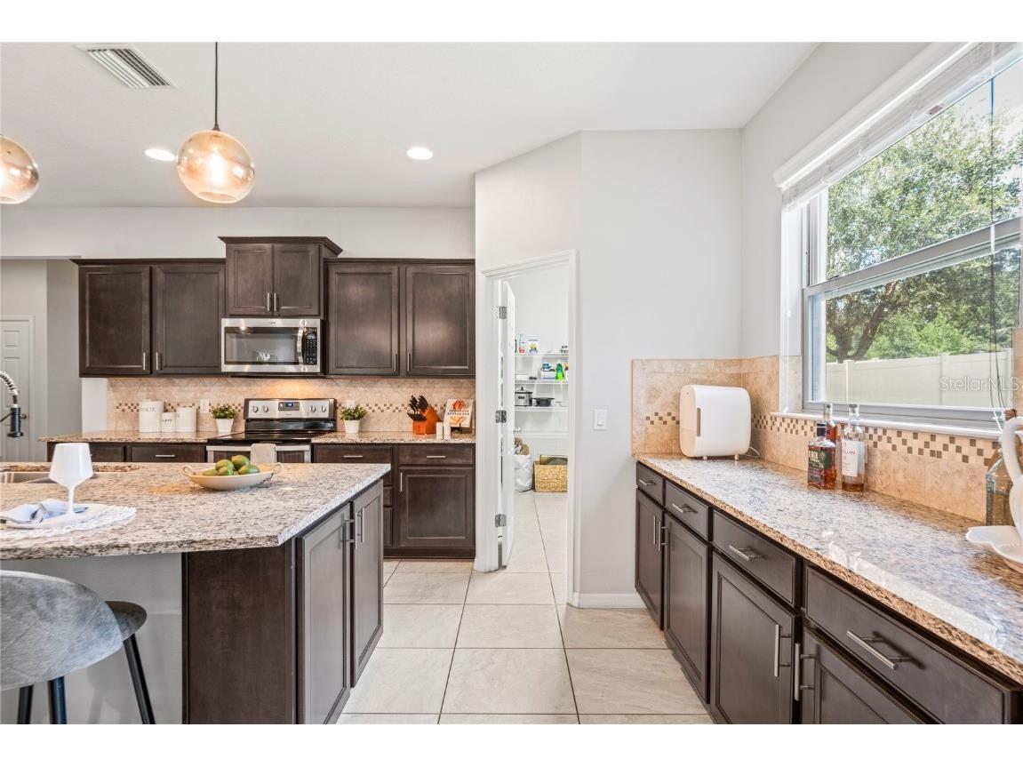 4514 Highfalls Drive Valrico FL 33594 W7878431 image16