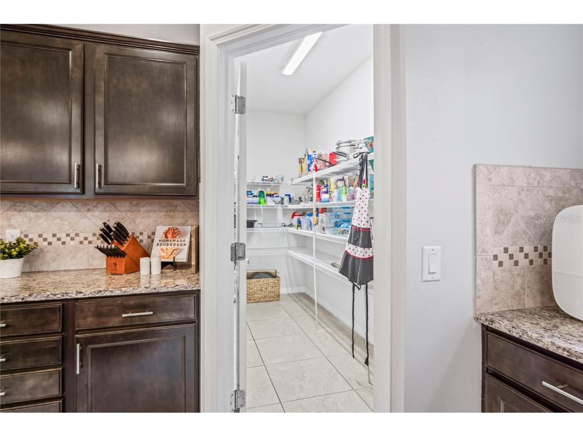 4514 Highfalls Drive Valrico FL 33594 W7878431 image18