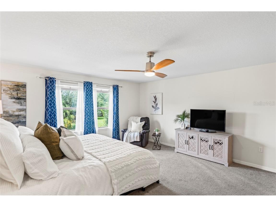 4514 Highfalls Drive Valrico FL 33594 W7878431 image25