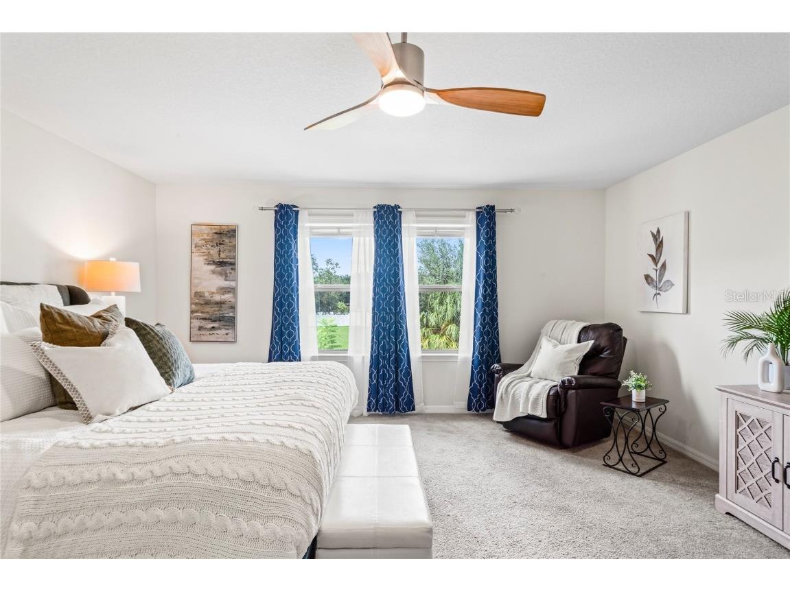 4514 Highfalls Drive Valrico FL 33594 W7878431 image27