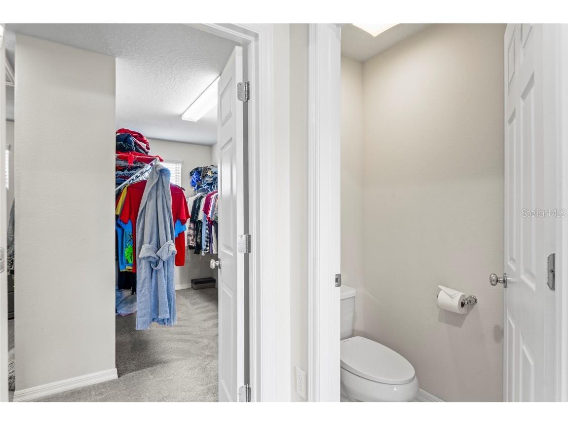 4514 Highfalls Drive Valrico FL 33594 W7878431 image34