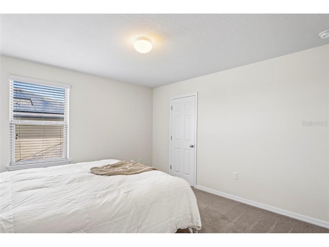 4514 Highfalls Drive Valrico FL 33594 W7878431 image38