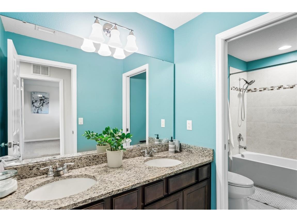 4514 Highfalls Drive Valrico FL 33594 W7878431 image44