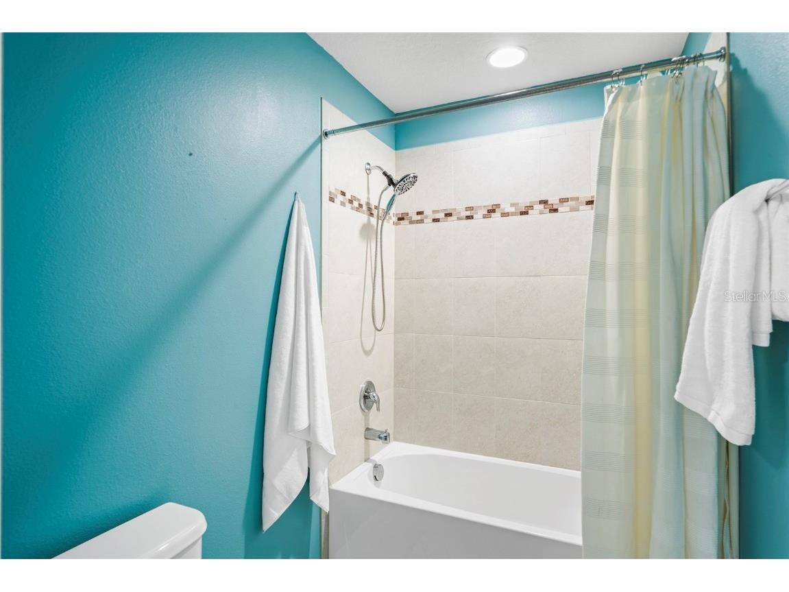 4514 Highfalls Drive Valrico FL 33594 W7878431 image46