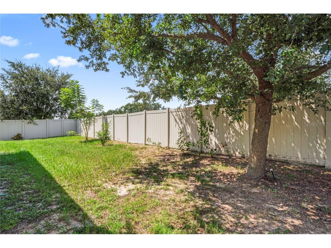 4514 Highfalls Drive Valrico FL 33594 W7878431 image57