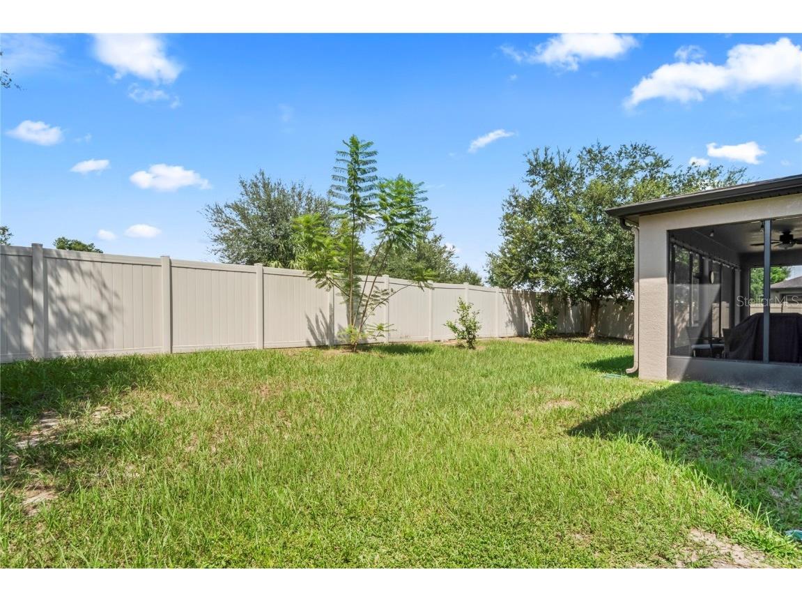 4514 Highfalls Drive Valrico FL 33594 W7878431 image59