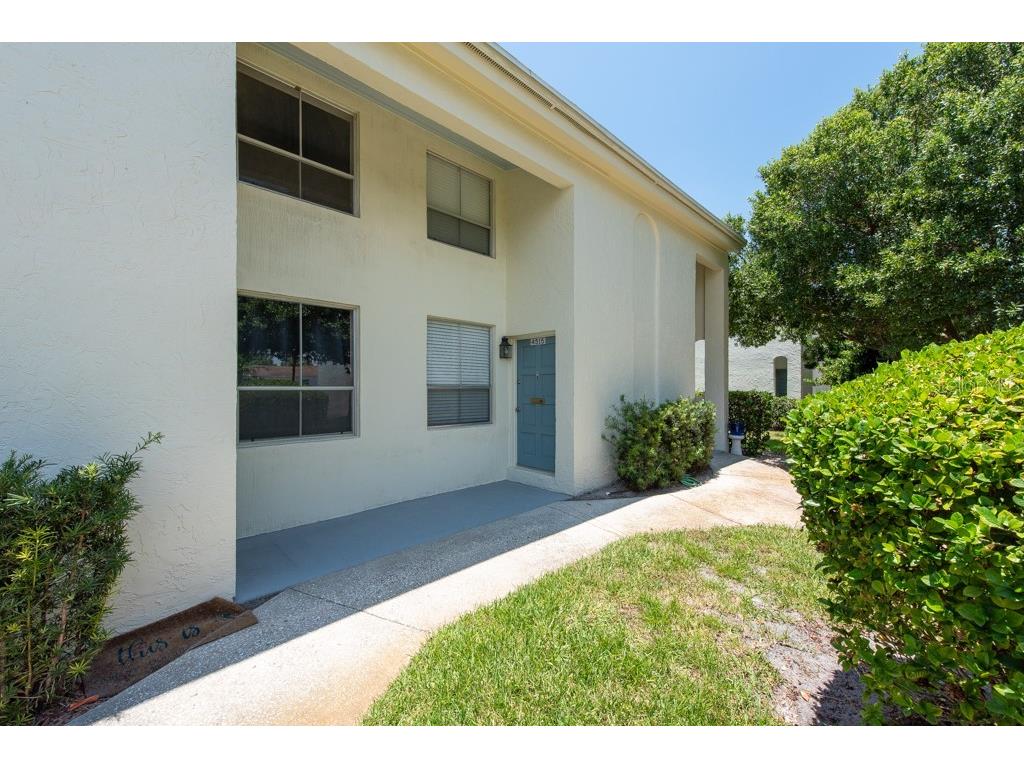 4515 La Capri Court Tampa FL 33611 T3453174 image1