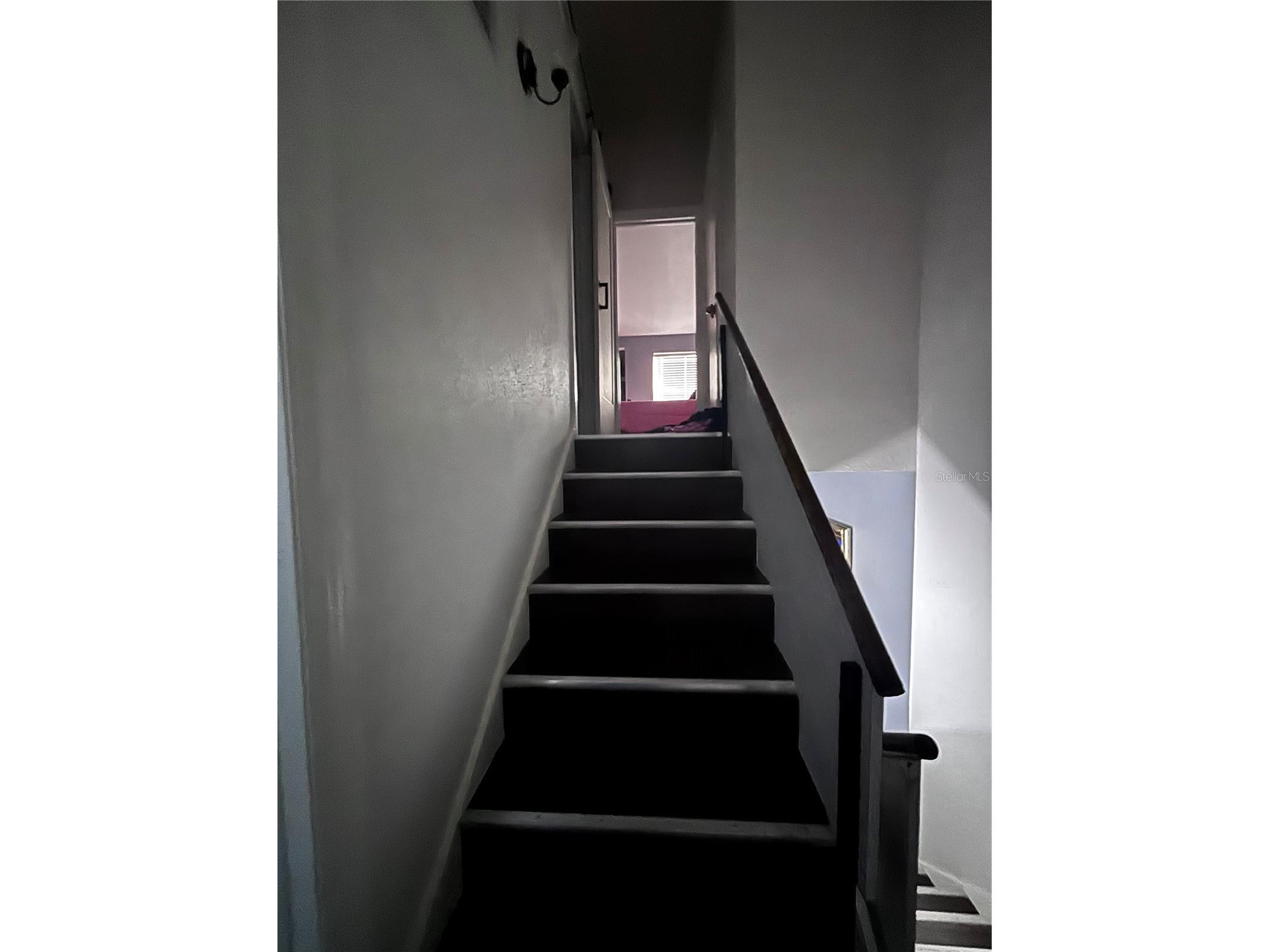 4515 La Capri Court Tampa FL 33611 A4695876 image12