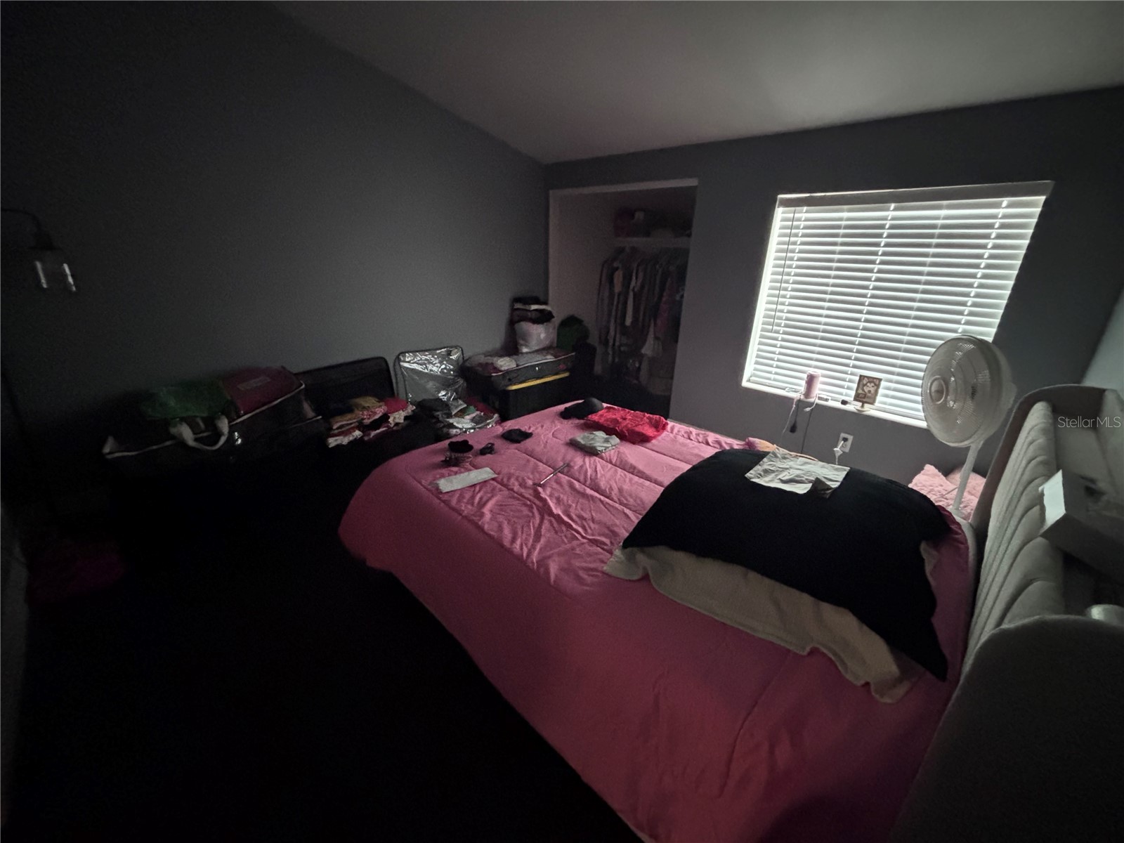 4515 La Capri Court Tampa FL 33611 A4695876 image15