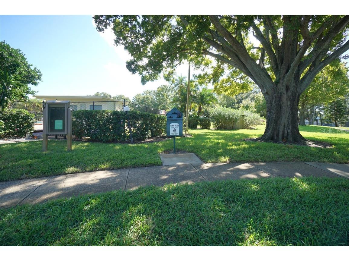 4515 La Capri Court Tampa FL 33611 TB8441158 image11