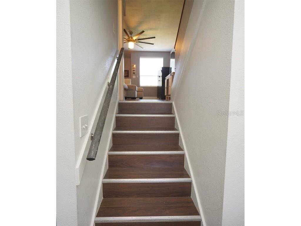 4515 La Capri Court Tampa FL 33611 TB8441158 image18