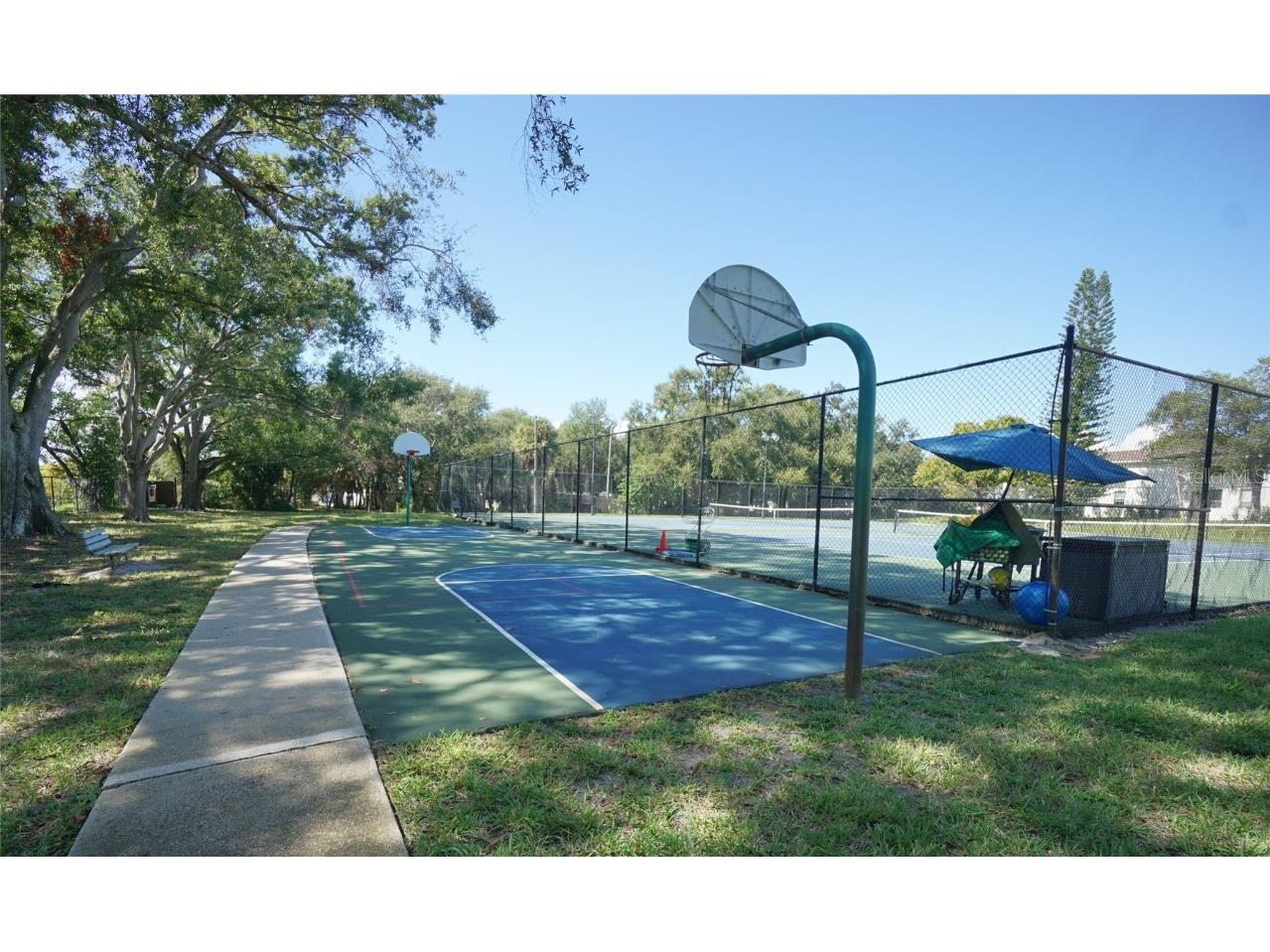 4515 La Capri Court Tampa FL 33611 TB8441158 image21