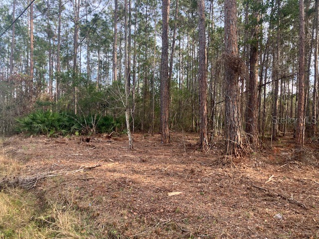 4515 Mahogany Boulevard Bunnell FL 32110 FC316484 image1
