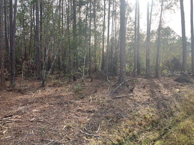 4515 Mahogany Boulevard Bunnell FL 32110 FC316484 image3