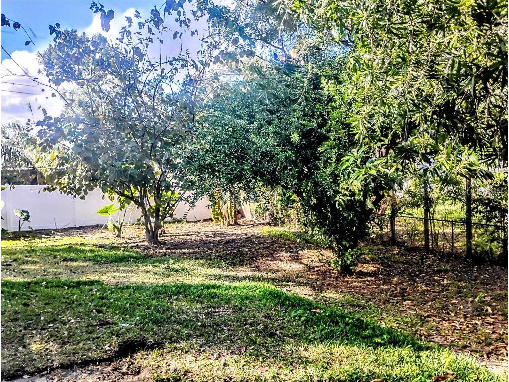 4515 Orangewood Loop E Lakeland FL 33813 L4957128 image41