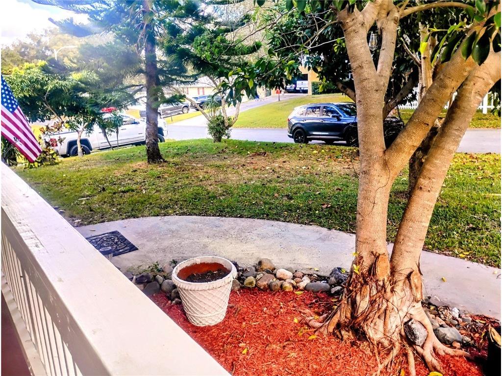 4515 Orangewood Loop E Lakeland FL 33813 L4957128 image8