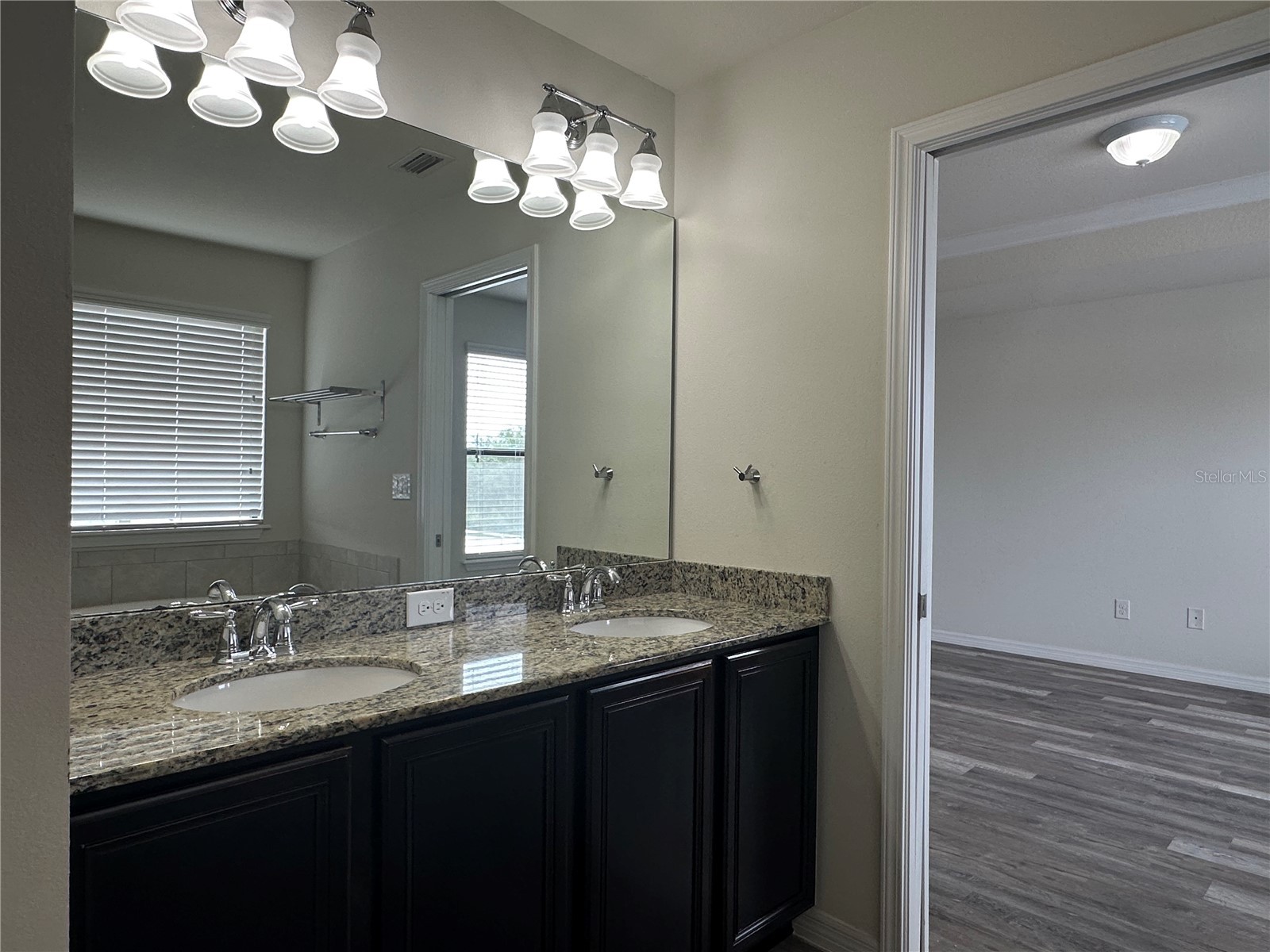 4515 Savannah Holly Place Riverview FL 33578 TB8516873 image23