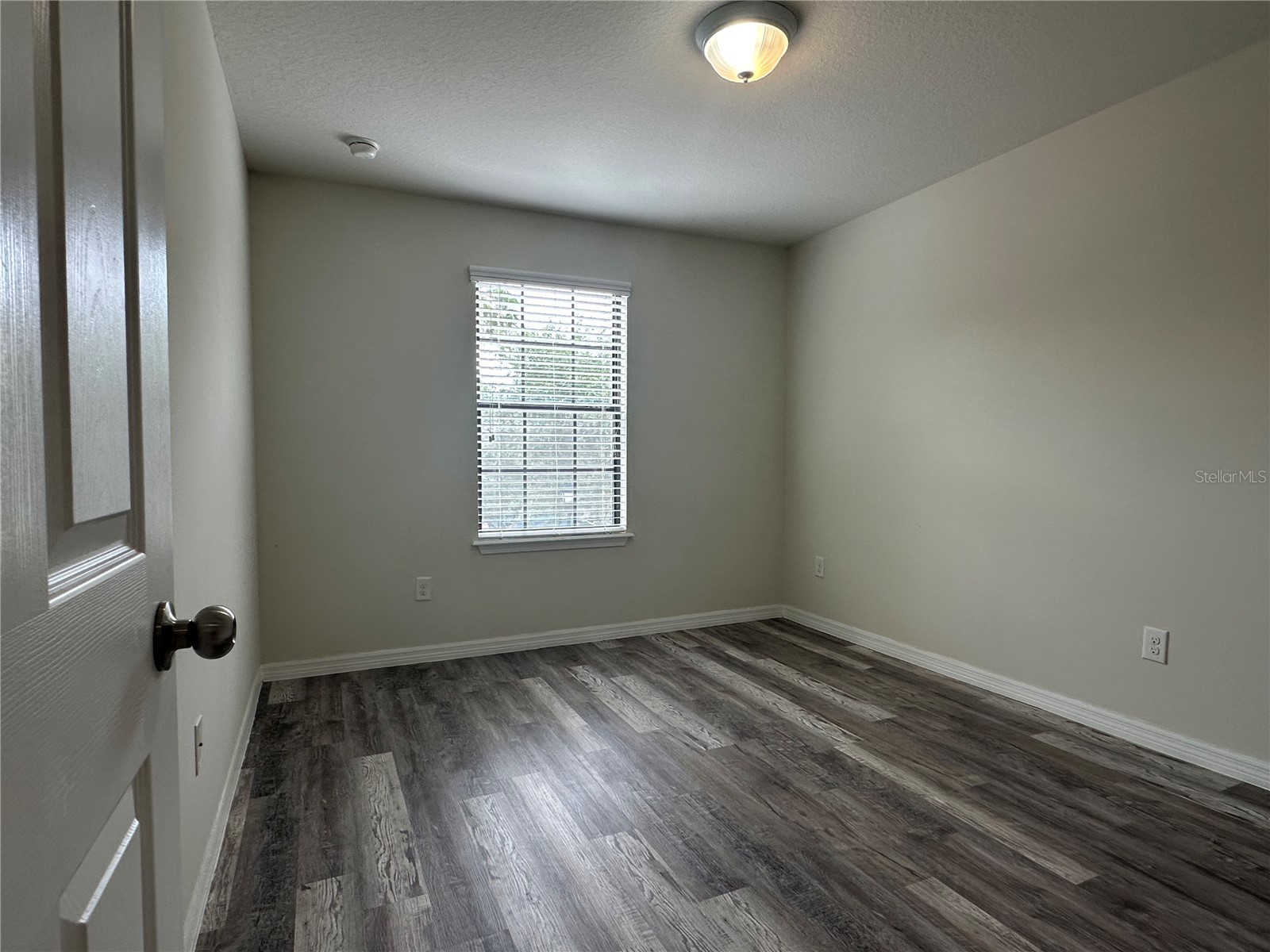 4515 Savannah Holly Place Riverview FL 33578 TB8516873 image26