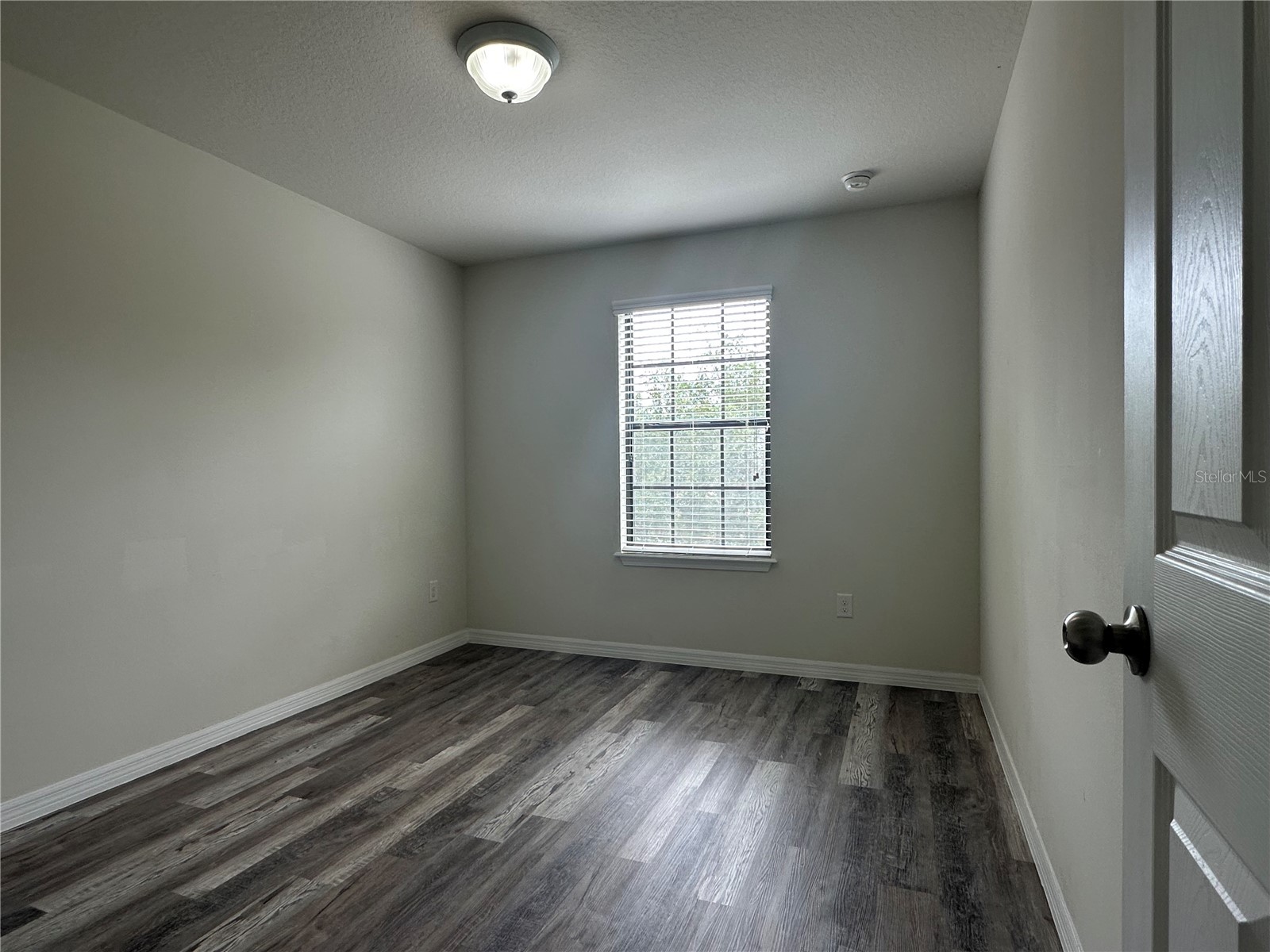 4515 Savannah Holly Place Riverview FL 33578 TB8516873 image28